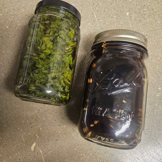 Burdock root and wormwood herbal tinctures by Harris Botanicals, small-batch plant extracts in glass bottles.