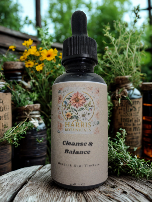 Cleanse & Balance burdock root tincture steeped in 80% vodka for detox and digestion – Harris Botanicals
